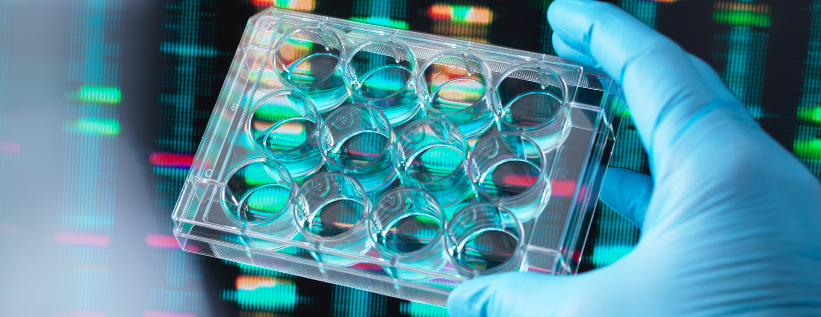 2025-1h-venture-healthcare-report-banner