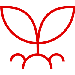 icon 2 vc 2025